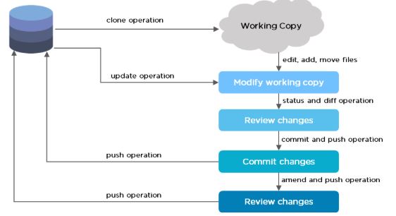 Git Workflow